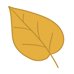 leaf isolated 