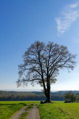 Paysage de campagne en hiver