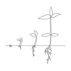 Single line Plant growth processing from seed illustration