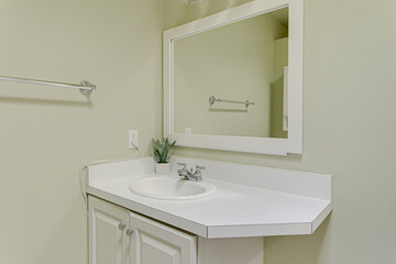 Cute Mint Pastel Bathroom Vanity with Large Mirror and Succulent