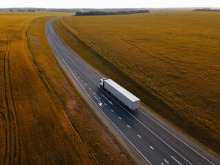 White Truck with Cargo Semi Trailer Moving on Autumn Road. Aerial Top Drone View