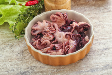 Marinated baby octopus seafood in the bowl