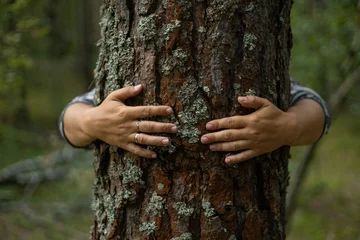 Fotobehang Save the planet. Hands gently hug the tree trunk, protecting it from being cut down. Protecting forests from deforestation. A man takes care of trees and tries to protect them. © Александр Лебедько