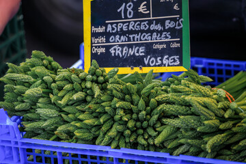 Fresh local foraged wild green asparagus for sale at a farmers market on Place Broglie Square in...