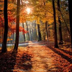 Fototapeta premium A forest trail with colorful fallen leaves 