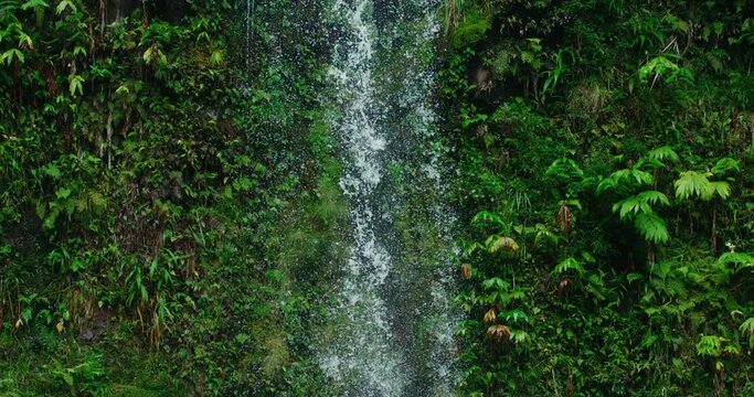 Tropical waterfall in Hawaii, super slow motion, Filmed on high speed cinema camera at 1000fps
