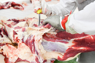 Meat