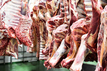 Meat