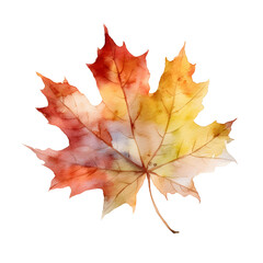 Naklejka na ściany i meble Single Maple Leaf, Watercolor, Autumn Elements, Fall Foliage, Transparent Background, PNG, Generative AI