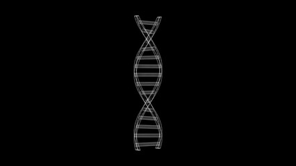 Spinning 3d wireframe DNA motion graphics with plain black background - Powered by Adobe