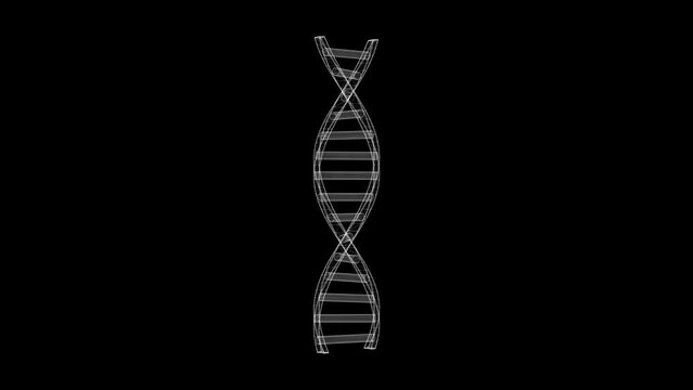 Spinning 3d wireframe DNA motion graphics with plain black background