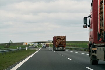 Truck is transporting logs on a semi-trailer on a suburban asphalt highway on a summer day. Concept...