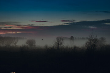 shadows © Panna