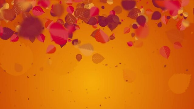 Orange abstract background with red falling leaves. Autumn looped screensaver with beautiful blurred bokeh. Copy space.