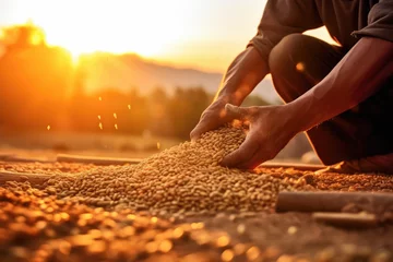 Fotobehang Close up hands of a male farmer pouring grain at sunset. Harvest season consept,Generative AI © bird_saranyoo