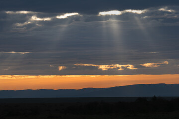 Savannah landscape africa, sunset