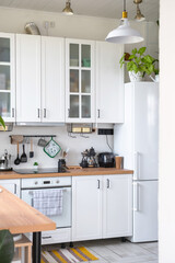 Light white modern rustic kitchen decorated with potted plants, loft-style kitchen utensils. Interior of a house with homeplants