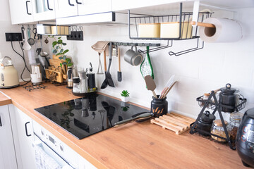 Light white modern rustic kitchen decorated with potted plants, loft-style kitchen utensils. Interior of a house with homeplants