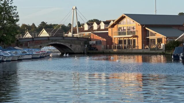 bridge over the river