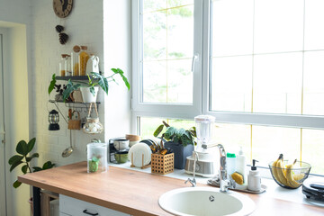 Fototapeta premium Light white modern rustic kitchen decorated with potted plants, loft-style kitchen utensils. Interior of a house with homeplants
