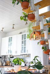 The general plan of a light white modern rustic kitchen with a modular metal staircase decorated with potted plants. Interior of a house with homeplants
