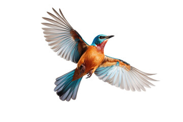 Obraz premium a beautiful bird flying full body on a white background studio shot isolated PNG
