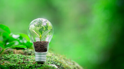 world map are placed on a light bulb representing green energy. Sustainable renewable energy concept in environmental protection Renewable energy needed for earth's natural green background