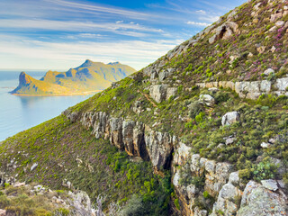 Hout Bay Coastal mountain landscape with fynbos flora in Cape Town.