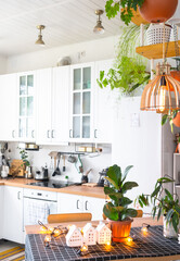 Ficus lirata in a pot in the interior of the house in the kitchen, illuminated by garland lamps and miniature of house project with keys. Potted plant in green house, real estate rental, insurance