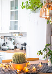 Light white modern rustic kitchen decorated with potted plants, loft-style kitchen utensils. Interior of a house with homeplants