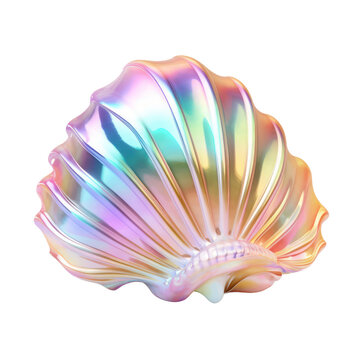 Beautiful hologram sea shell 