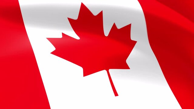 Canada Flag Looping Animation Background. High resolution 4K UHD quality in MOV format. The codec on this video is ProRes 4444. Ideal for your video projects
