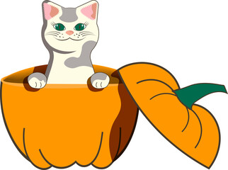Animal character happy cat inside of Halloween pumpkin jack o lantern - obrazy, fototapety, plakaty