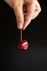 Juicy cherry in hands on a black background