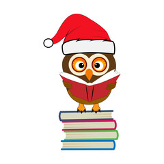 Cartoon cute Owl school Teacher Character Design. 100 days school  Character Design.