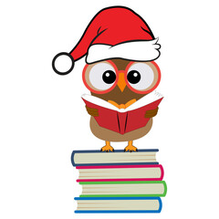 Cartoon cute Owl school Teacher Character Design. 100 days school  Character Design.