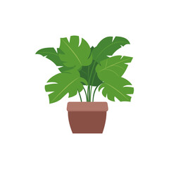 Houseplant in a pot icon in flat style on a white background