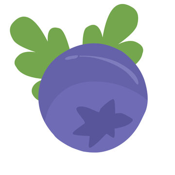 illustration of an blueberry 