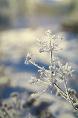 Winter landscape. Fairy-tale beauty of snow-covered streets. Snowfall and cooling in tourist areas.