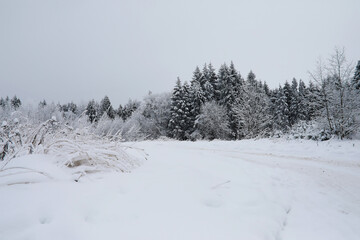 Winter snowy frosty landscape. The forest is covered with snow. Frost and fog in the park.
