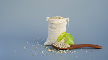 Raw uncooked millet or bajra in burlap sack and a wooden spoon isolated on a gray background....