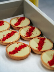 Mini-tarts with pistachio cream and dry berries close-up. Beautiful dessert