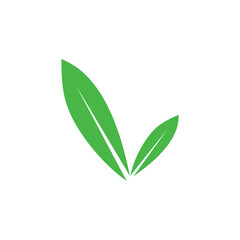 Olive Green leaf logo vector natural icon