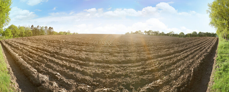 Freshly ploughed field at the edge of a forest with sun - Panorama
