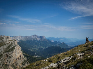 Grand Veymont et bouquetins, Vercors