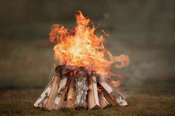 Foto op Plexiglas Burning bonfire, a pile of birch firewood with orange and yellow tongues of high flame, in a campsite nature outdoors. © ulkas
