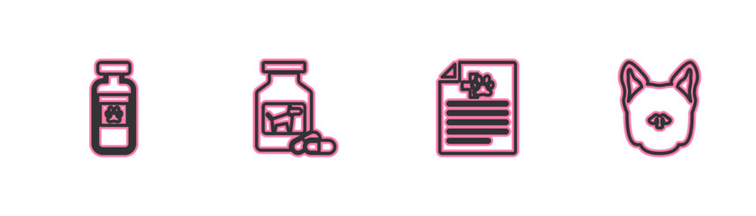 Set line Pets vial medical, Medical certificate for dog or cat, Dog medicine bottle and pills and icon. Vector