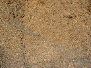Light wood sawdust surface texture