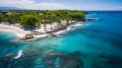 Aerial view: tropical island, sandy beaches, palm trees.