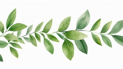 Hand painted foliage pattern, seamless floral print with green leaves, watercolor illustration Collection isolated white background suitable for Wedding Invitation, wallpapers, textile or cover